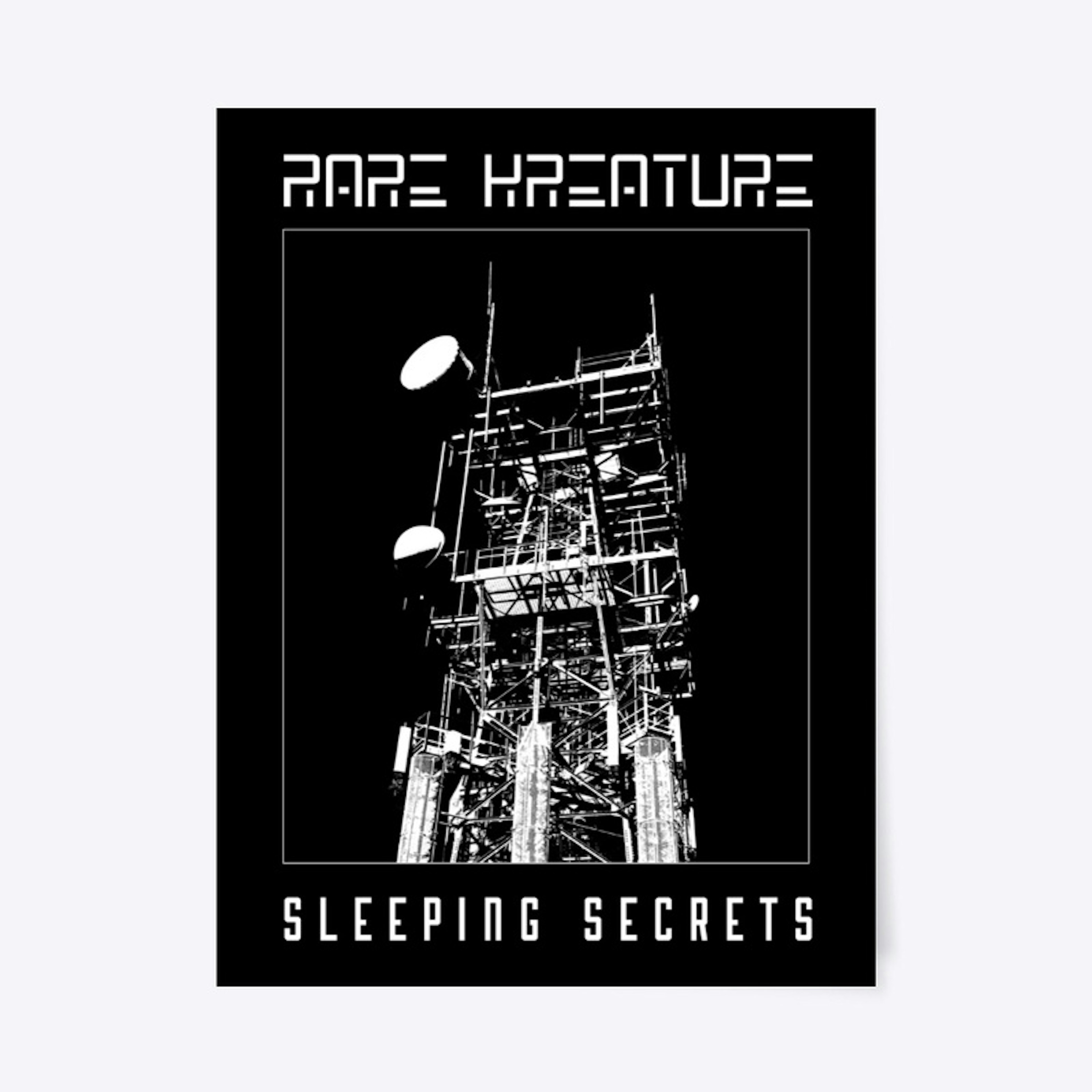 Sleeping Secrets Poster